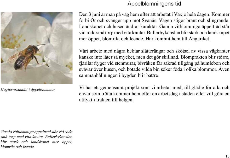 Har kommit hem till Ängariket! Vårt arbete med några hektar slåtterängar och skötsel av vissa vägkanter kanske inte låter så mycket, men det gör skillnad.
