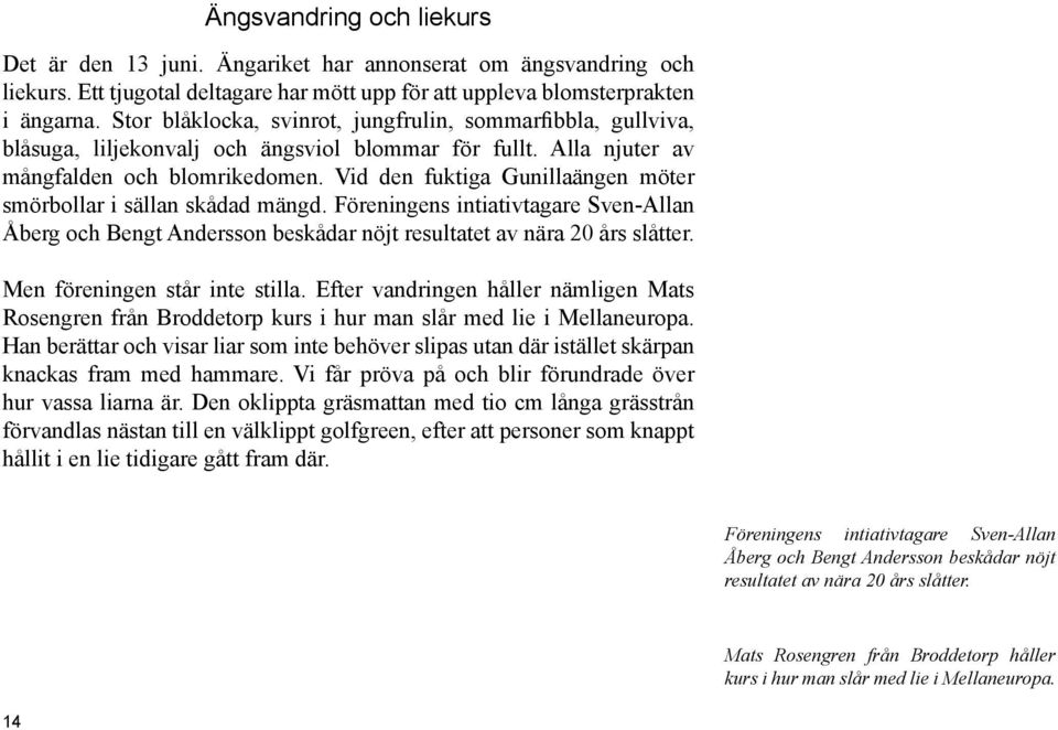Vid den fuktiga Gunillaängen möter smörbollar i sällan skådad mängd. Föreningens intiativtagare Sven-Allan Åberg och Bengt Andersson beskådar nöjt resultatet av nära 20 års slåtter.