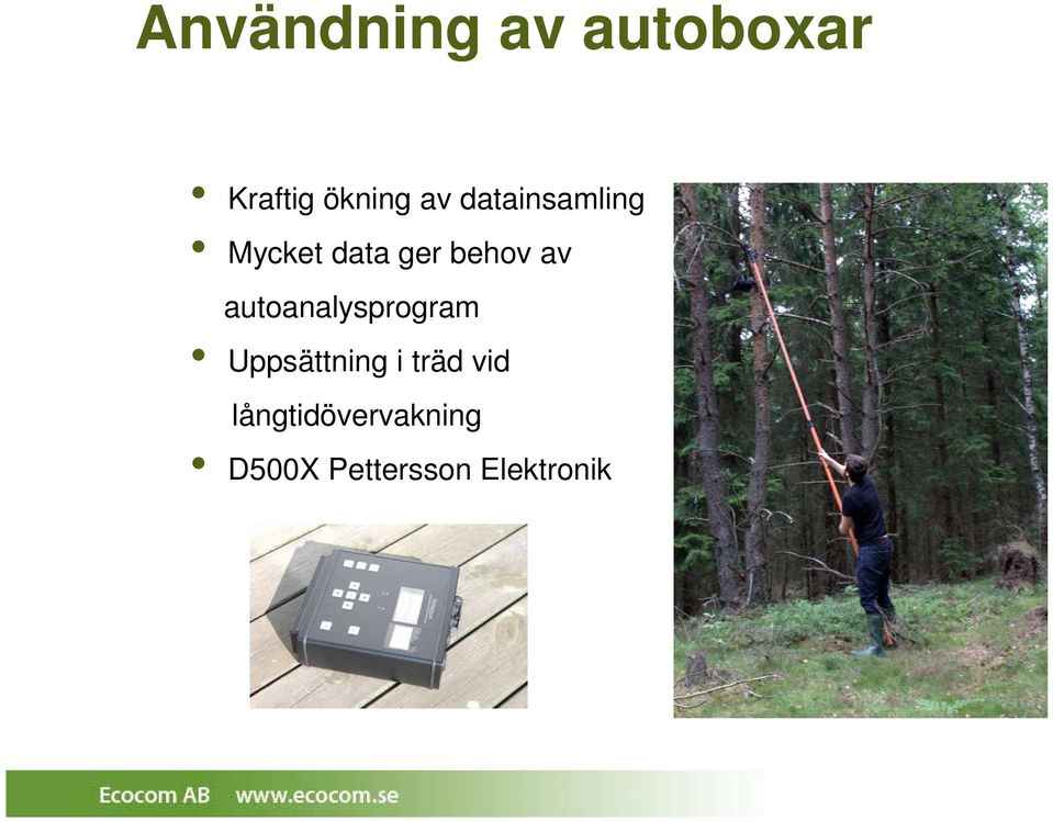 autoanalysprogram Uppsättning i träd vid