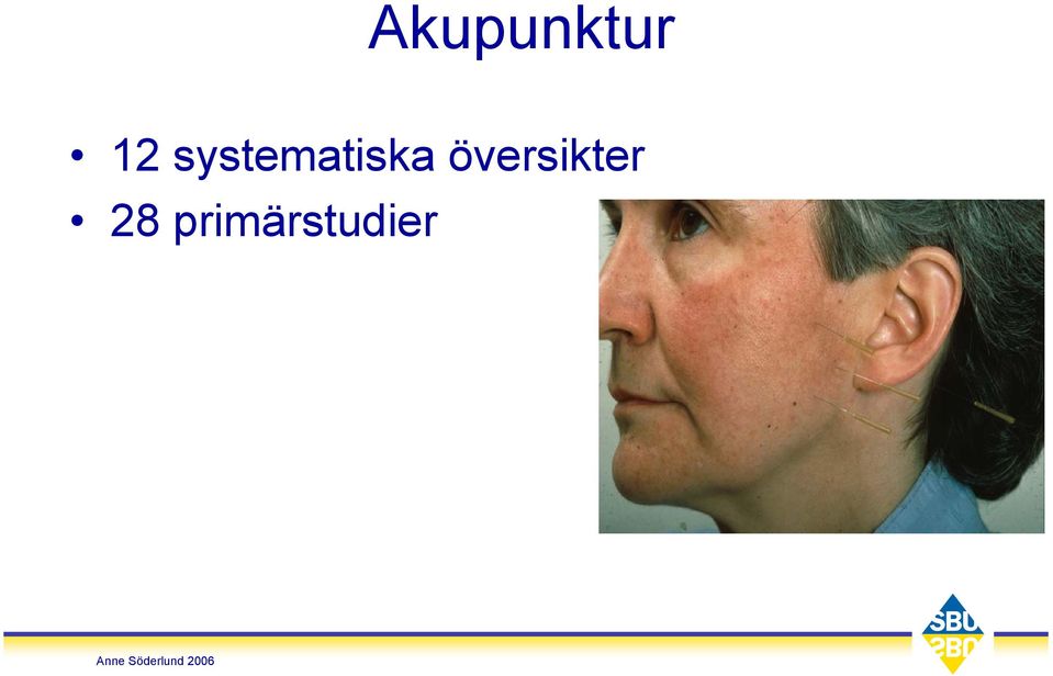 översikter 28