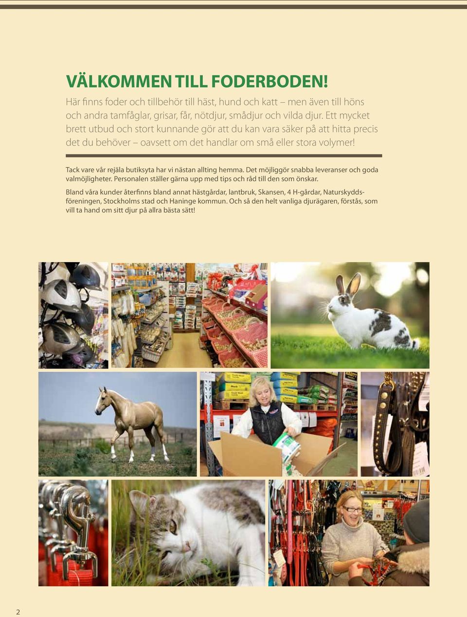 Tack vare vår rejäla butiksyta har vi nästan allting hemma. Det möjliggör snabba leveranser och goda valmöjligheter. Personalen ställer gärna upp med tips och råd till den som önskar.