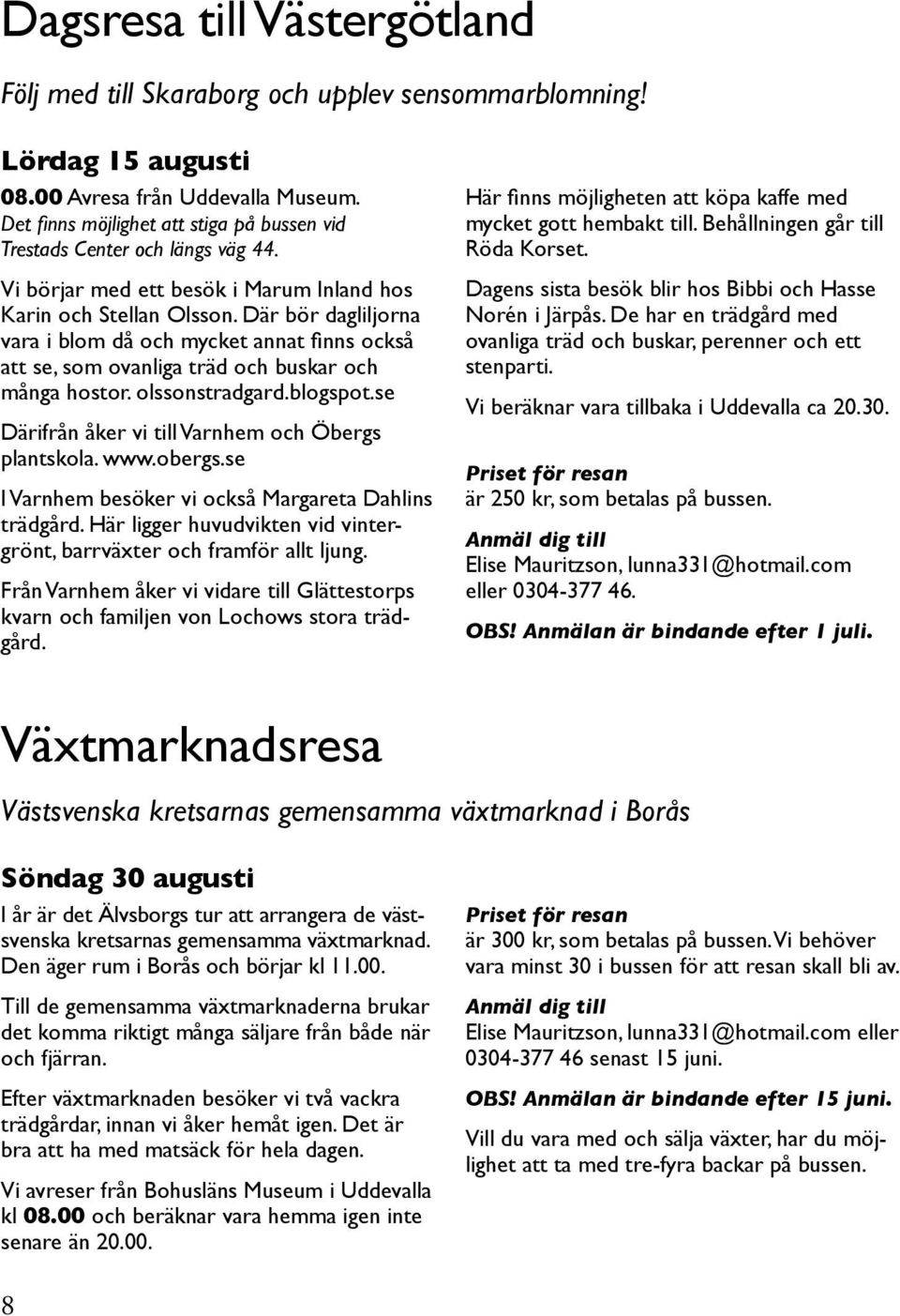 Där bör dagliljorna vara i blom då och mycket annat finns också att se, som ovanliga träd och buskar och många hostor. olssonstradgard.blogspot.se Därifrån åker vi till Varnhem och Öbergs plantskola.
