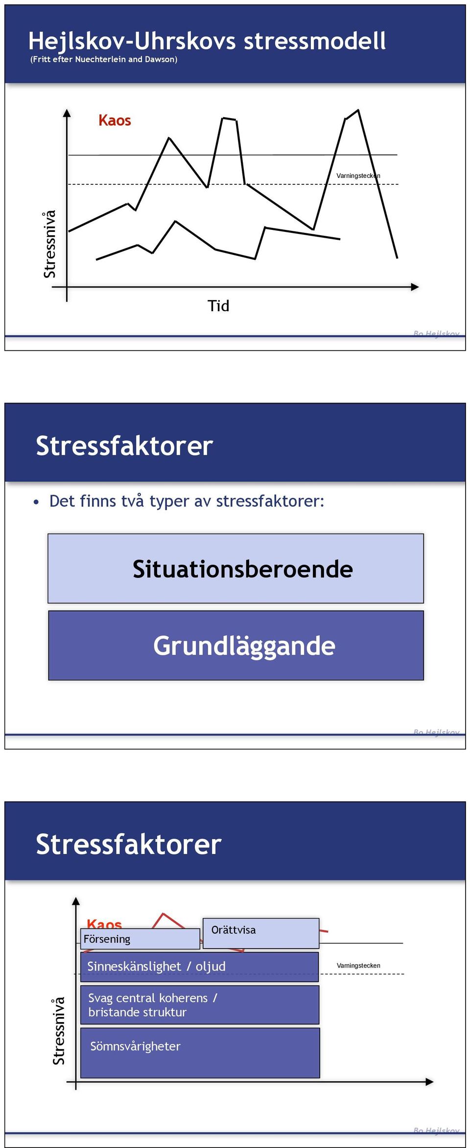 Situationsberoende Grundläggande Stressfaktorer Försening Orättvisa