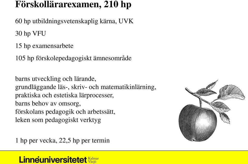 grundläggande läs-, skriv- och matematikinlärning, praktiska och estetiska lärprocesser, barns