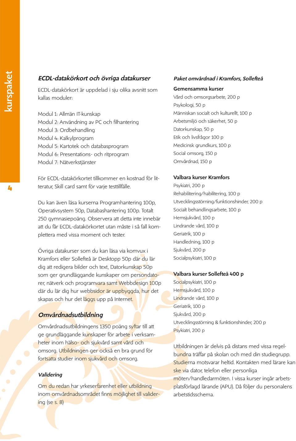 och omsorgsarbete, 200 p Psykologi, 50 p Människan socialt och kulturellt, 100 p Arbetsmiljö och säkerhet, 50 p Datorkunskap, 50 p Etik och livsfrågor 100 p Medicinsk grundkurs, 100 p Social omsorg,