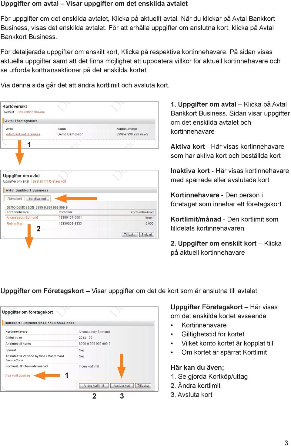 På sidan visas aktuella uppgifter samt att det finns möjlighet att uppdatera villkor för aktuell kortinnehavare och se utförda korttransaktioner på det enskilda kortet.