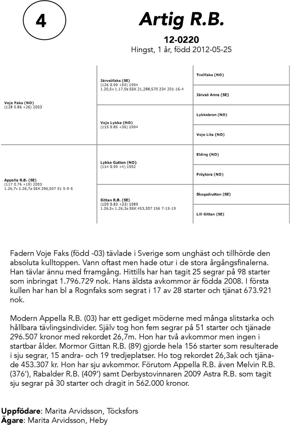 I första kullen har han bl a Rognfaks som segrat i 17 av 28 starter och tjänat 673.921 nok. Modern Appella R.B. (03) har ett gediget möderne med många slitstarka och hållbara tävlingsindivider.