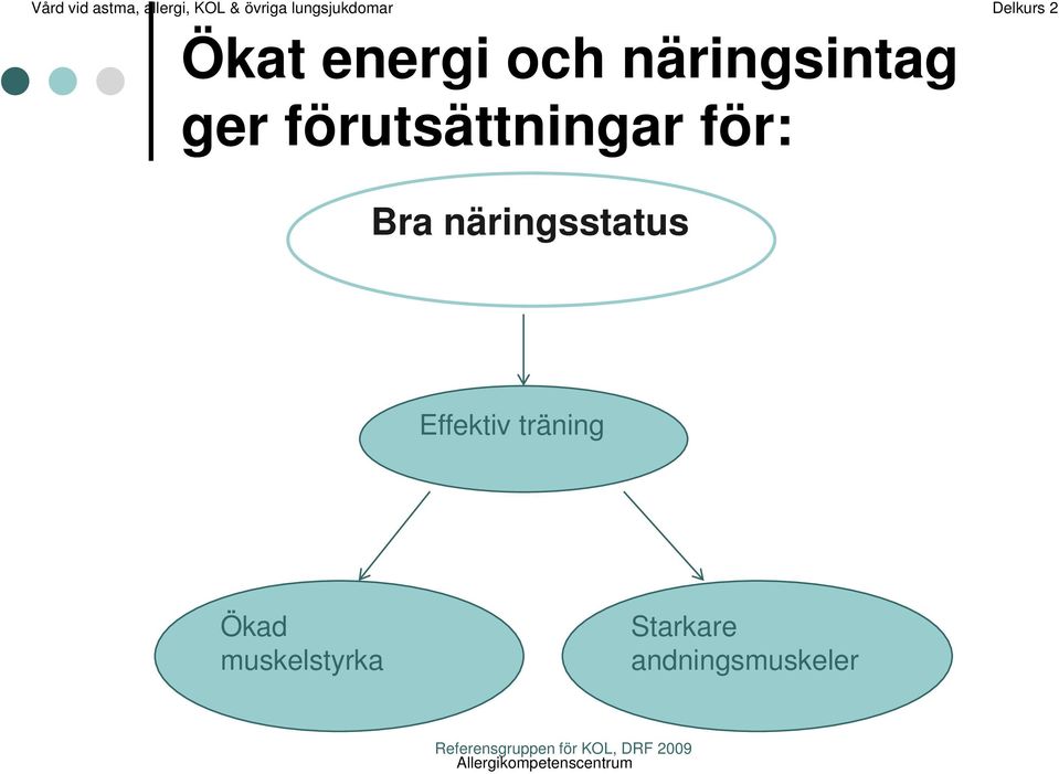 Effektiv träning Ökad muskelstyrka