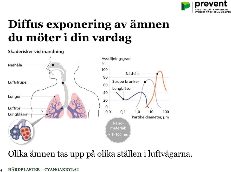 vardag Olika ämnen tas