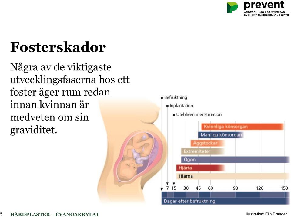 rum redan innan kvinnan är medveten om