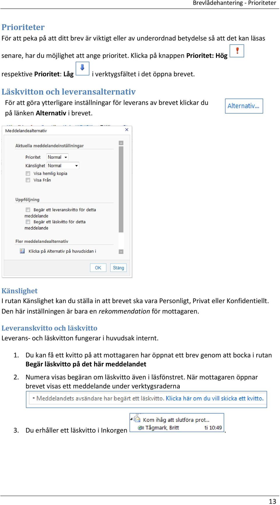 Läskvitton och leveransalternativ För att göra ytterligare inställningar för leverans av brevet klickar du på länken Alternativ i brevet.