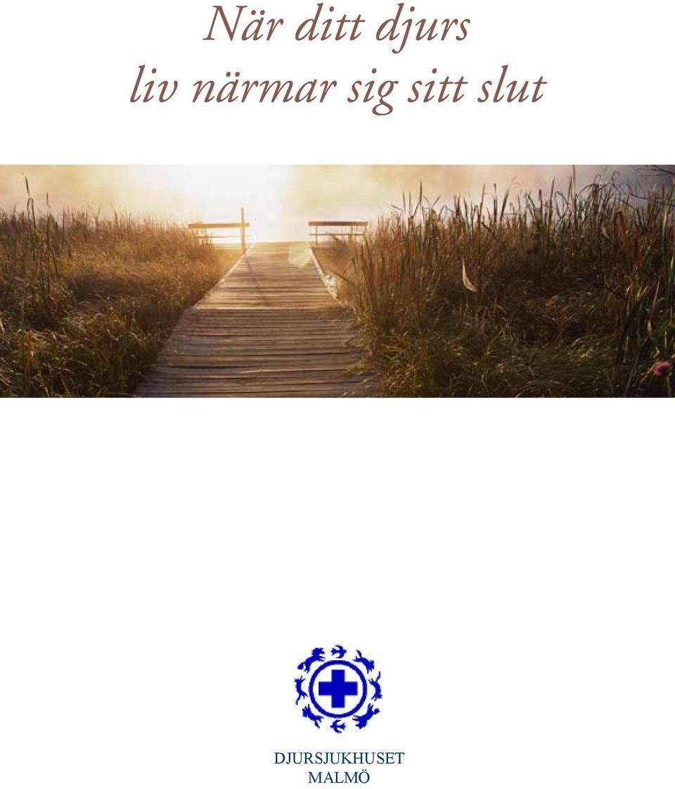 sitt slut