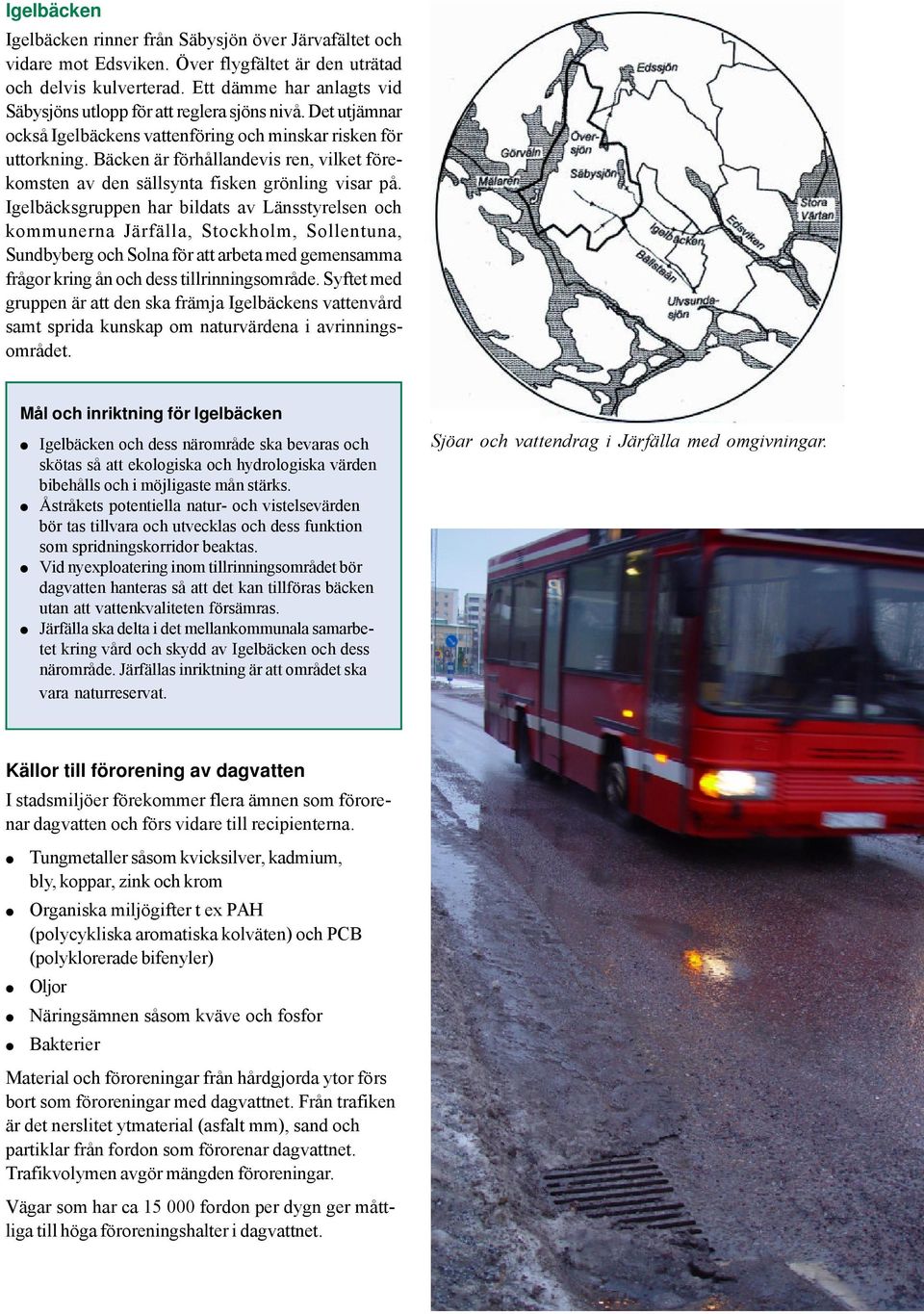 Bäcken är förhållandevis ren, vilket förekomsten av den sällsynta fisken grönling visar på.