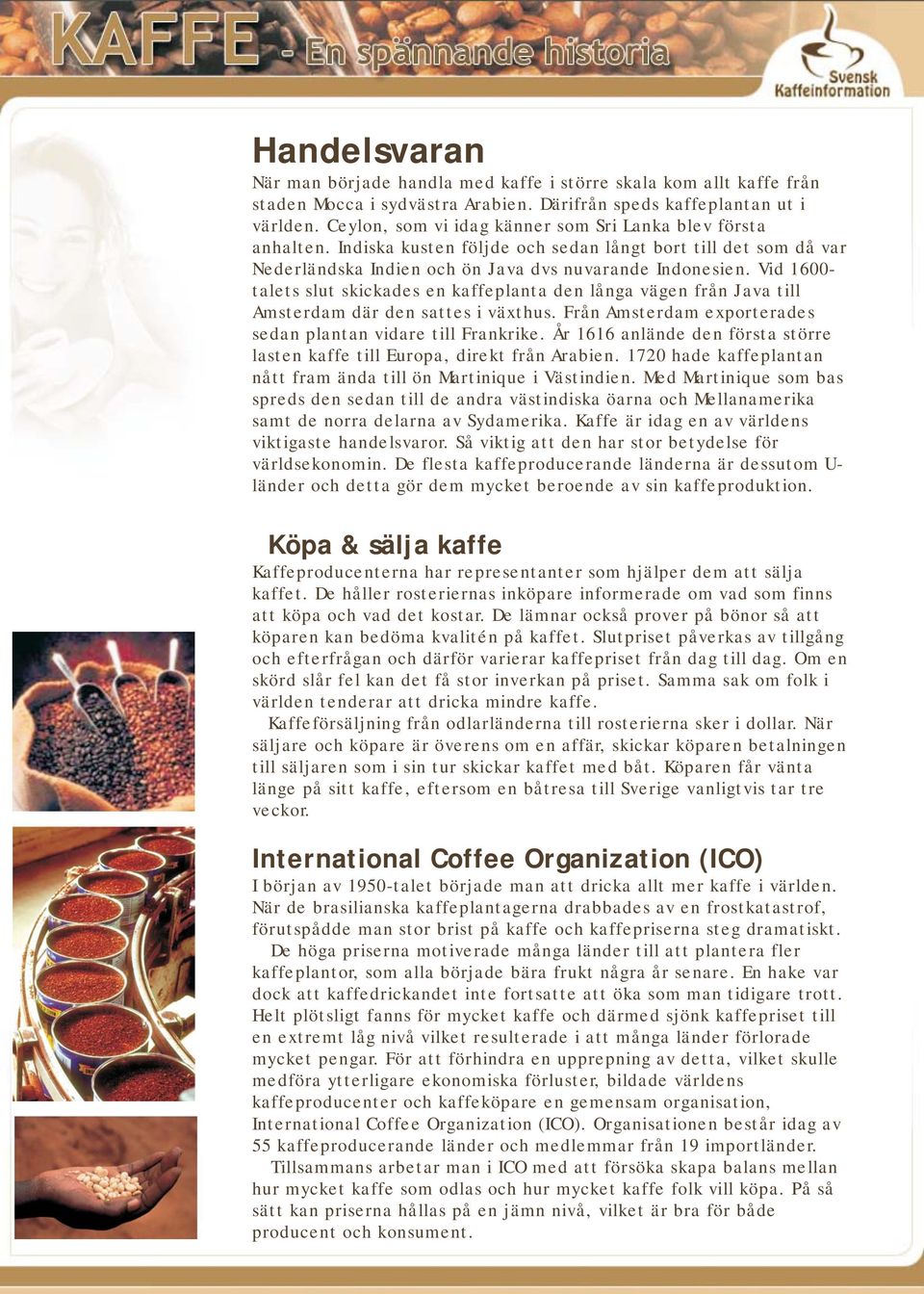 Vid 1600- talets slut skickades en kaffeplanta den långa vägen från Java till Amsterdam där den sattes i växthus. Från Amsterdam exporterades sedan plantan vidare till Frankrike.