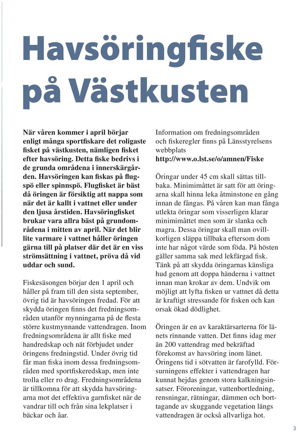 Flugfisket är bäst då öringen är försiktig att nappa som när det är kallt i vattnet eller under den ljusa årstiden. Havsöringfisket brukar vara allra bäst på grundområdena i mitten av april.