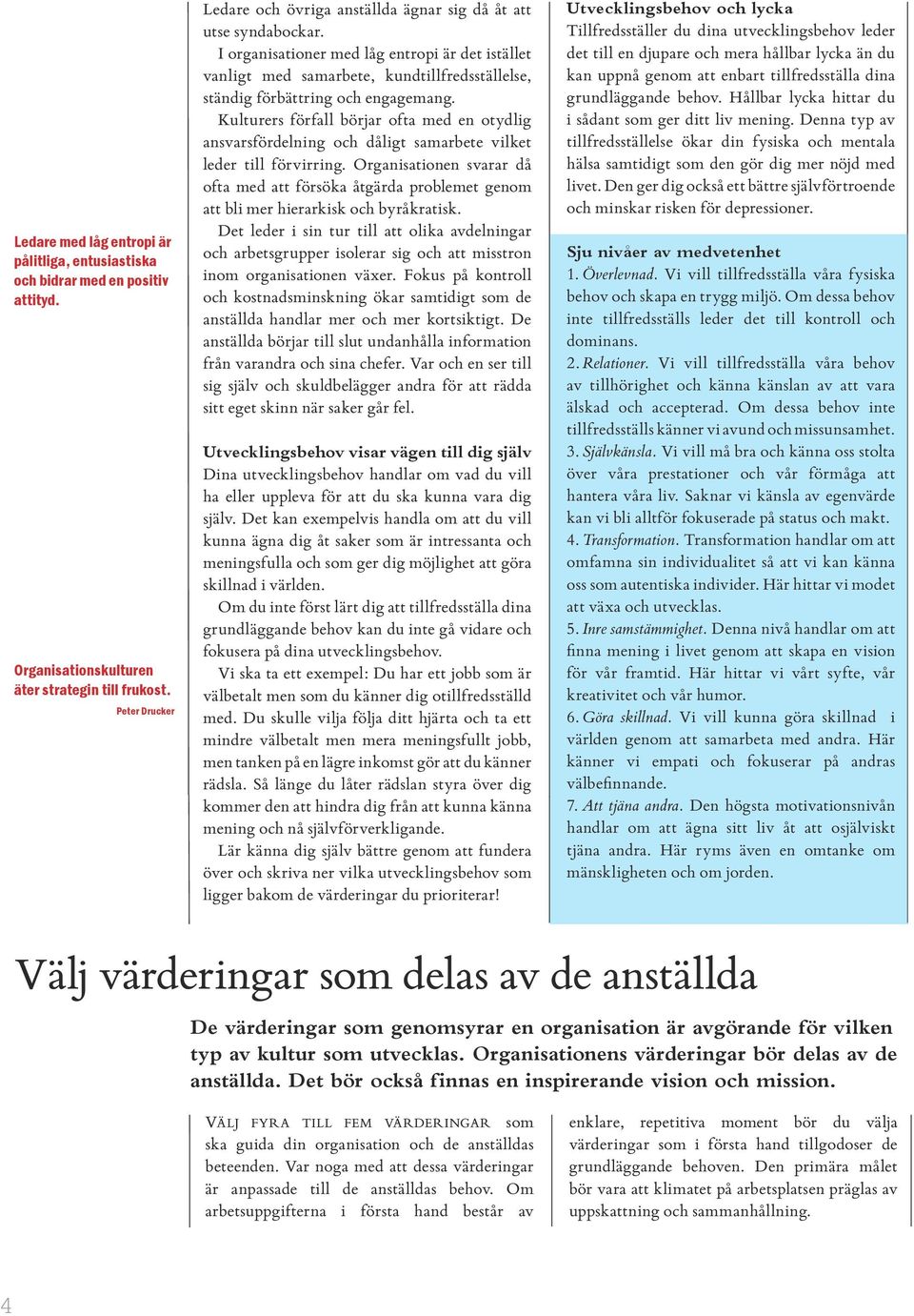 I organisationer med låg entropi är det istället vanligt med samarbete, kundtillfredsställelse, ständig förbättring och engagemang.