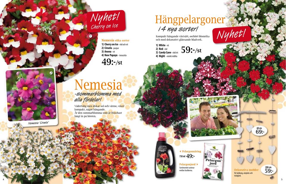 2 1 2 4 Nemesia -sommarblomma med alla fördelar! Vädertålig men älskar sol och värme, växer kompakt, något hängande. Är den sommarblomma som är fräschast långt in på hösten.