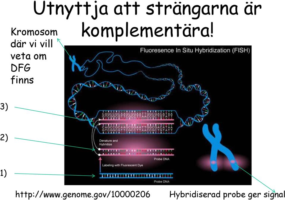 komplementära! 3) 2) 1) http://www.