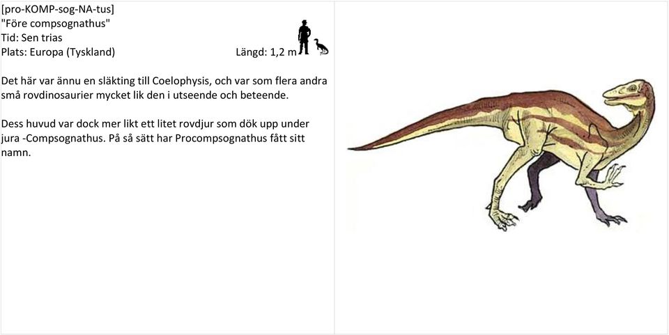 rovdinosaurier mycket lik den i utseende och beteende.
