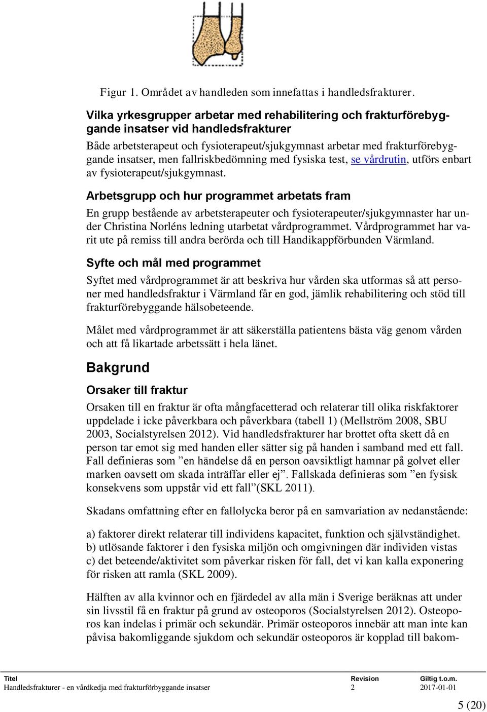 fallriskbedömning med fysiska test, se vårdrutin, utförs enbart av fysioterapeut/sjukgymnast.