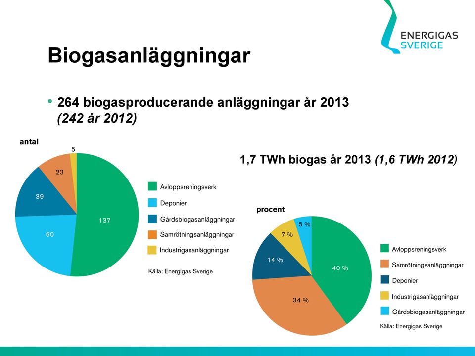 anläggningar år 2013 (242 år