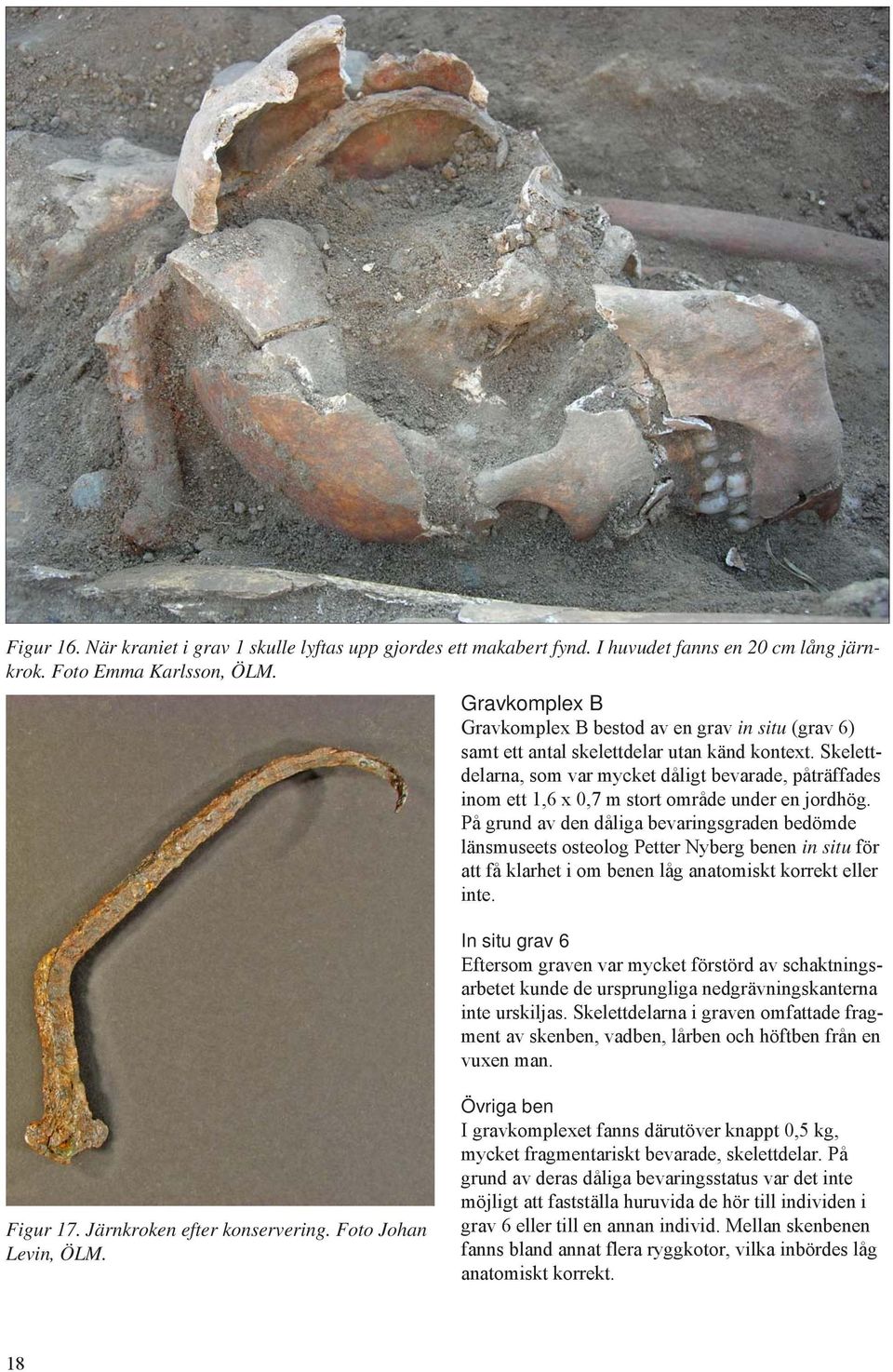 Skelettdelarna, som var mycket dåligt bevarade, påträffades inom ett 1,6 x 0,7 m stort område under en jordhög.