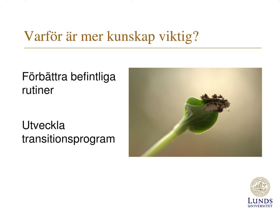 Förbättra befintliga