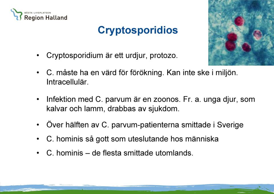 unga djur, som kalvar och lamm, drabbas av sjukdom. Över hälften av C.