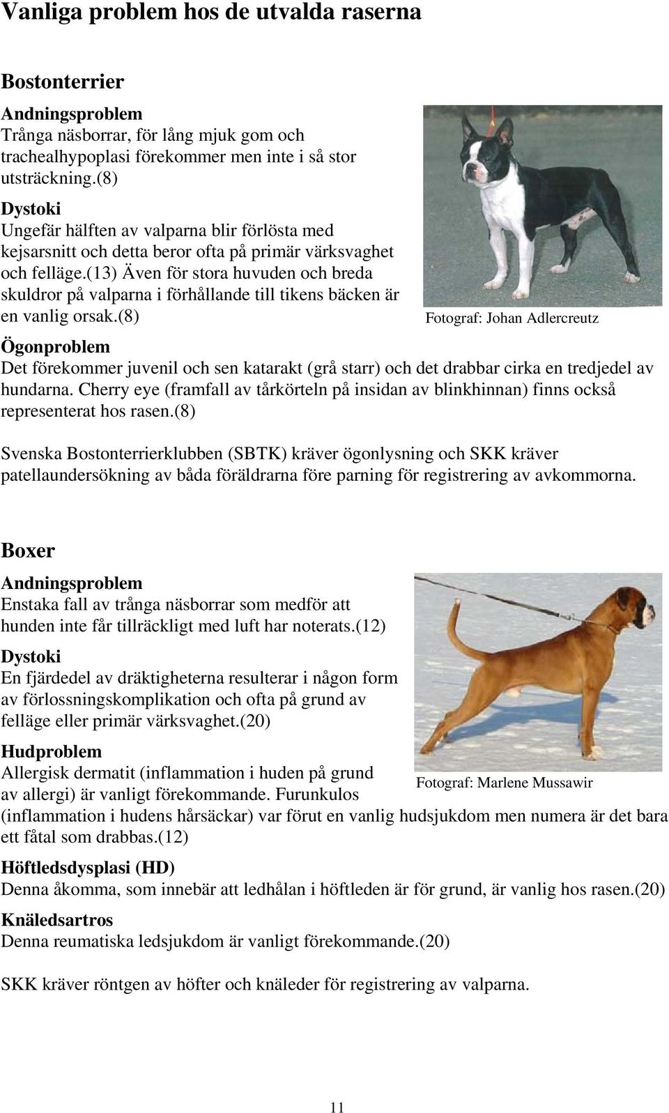 (13) Även för stora huvuden och breda skuldror på valparna i förhållande till tikens bäcken är en vanlig orsak.