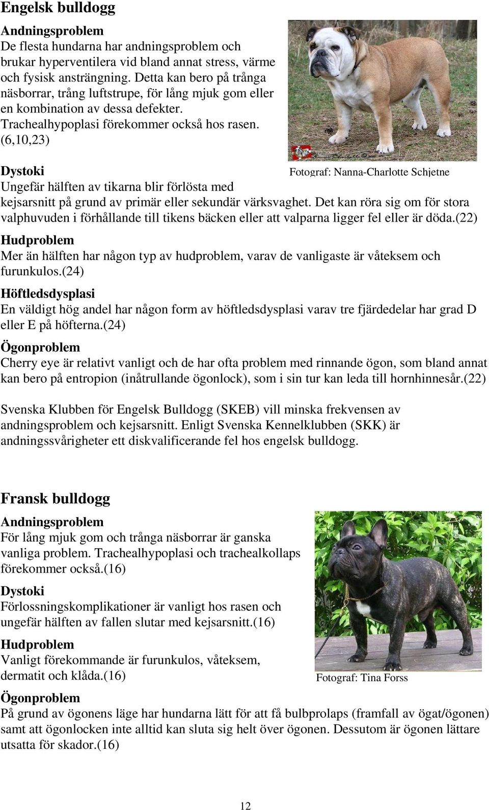 (6,10,23) Dystoki Fotograf: Nanna-Charlotte Schjetne Ungefär hälften av tikarna blir förlösta med kejsarsnitt på grund av primär eller sekundär värksvaghet.