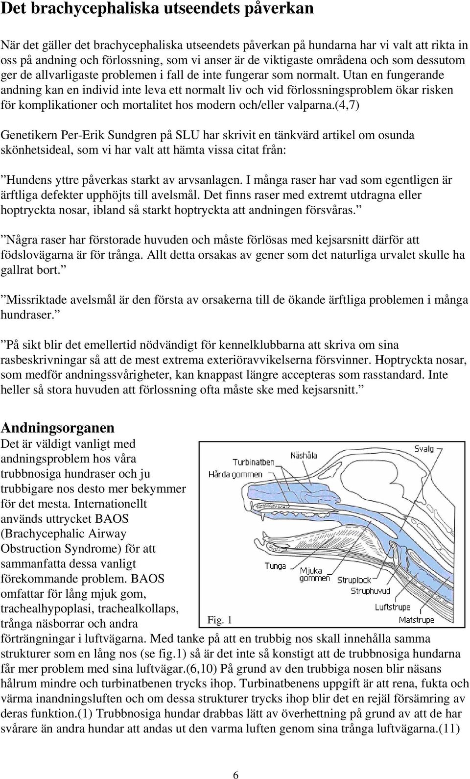 Utan en fungerande andning kan en individ inte leva ett normalt liv och vid förlossningsproblem ökar risken för komplikationer och mortalitet hos modern och/eller valparna.