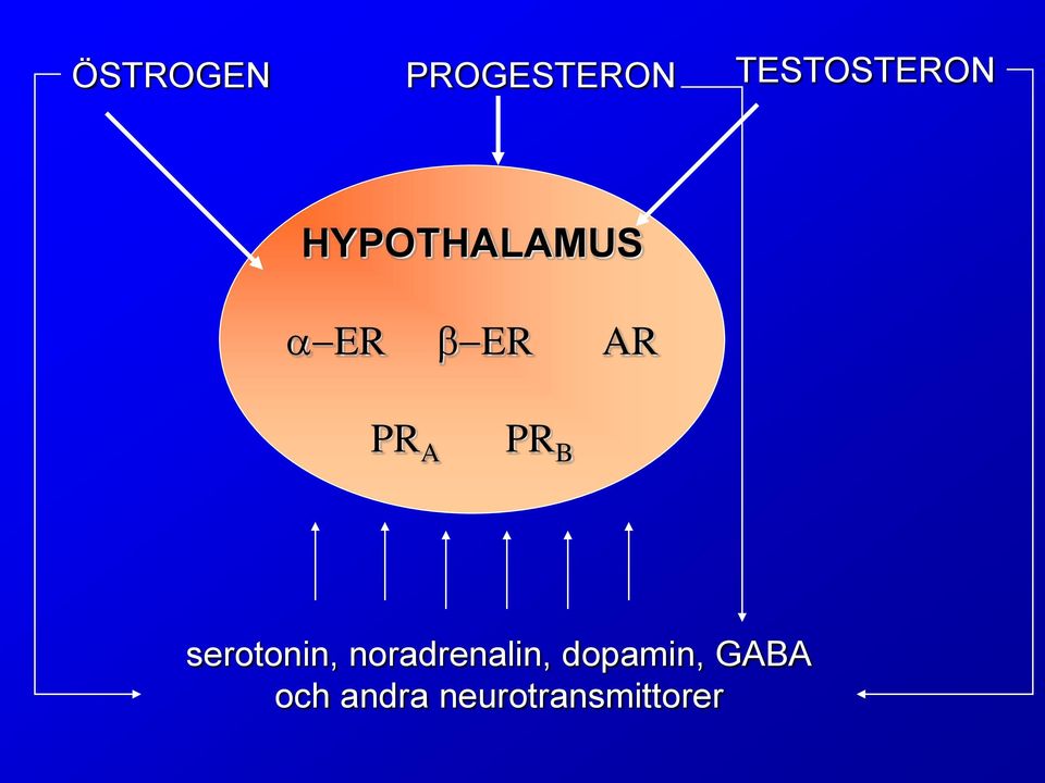 B serotonin, noradrenalin,