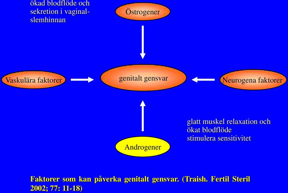 glatt muskel relaxation och ökat blodflöde stimulera sensitivitet