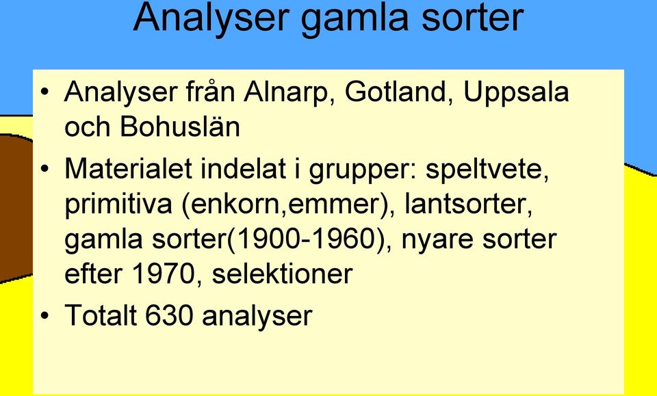 speltvete, primitiva (enkorn,emmer), lantsorter, gamla