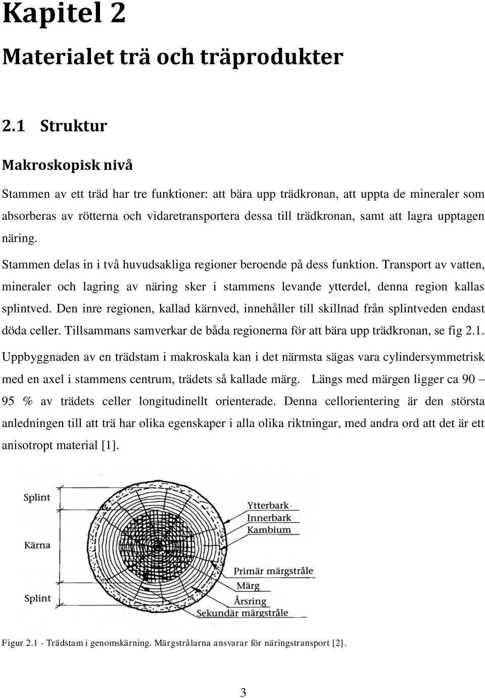 lagra upptagen näring. Stammen delas in i två huvudsakliga regioner beroende på dess funktion.