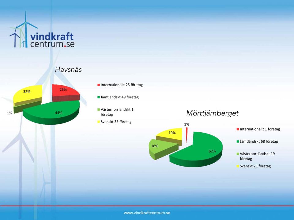 Svenskt 35 företag 19% 1% Internationellt 1 företag 18% 62%