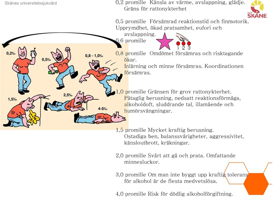 Påtaglig berusning, nedsatt reaktionsförmåga, alkoholdoft, sluddrande tal, illamående och humörsvängningar. 1,5 promille Mycket kraftig berusning.