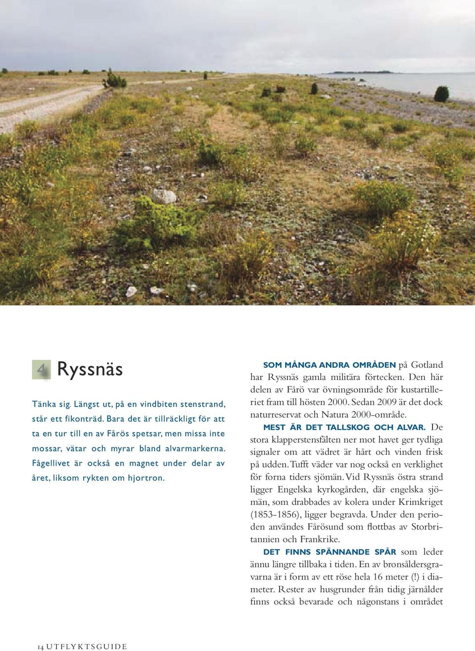 Fågellivet är också en magnet under delar av året, liksom rykten om hjortron. Som många andra områden på Gotland har Ryssnäs gamla militära förtecken.