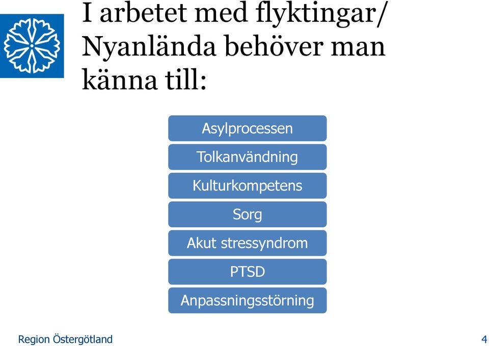 Tolkanvändning Kulturkompetens Sorg