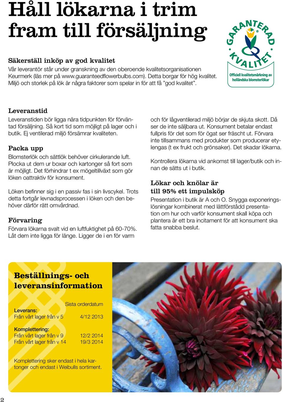 Så kort tid som möjligt på lager och i butik. Ej ventilerad miljö försämrar kvaliteten. Packa upp Blomsterlök och sättlök behöver cirkulerande luft.