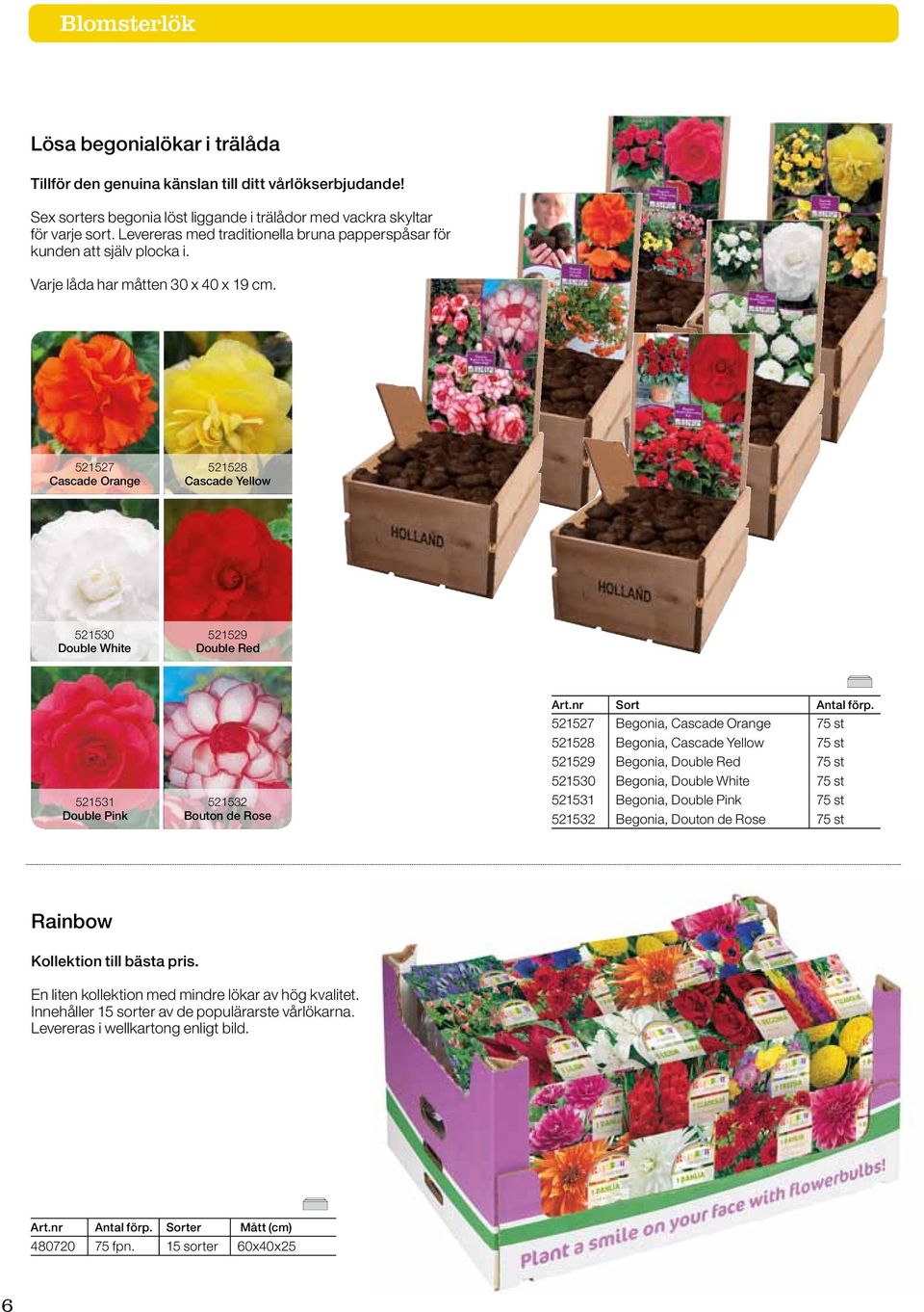 521527 Cascade Orange 521528 Cascade Yellow 521530 Double White 521529 Double Red 521531 Double Pink 521532 Bouton de Rose Art.nr Sort Antal förp.