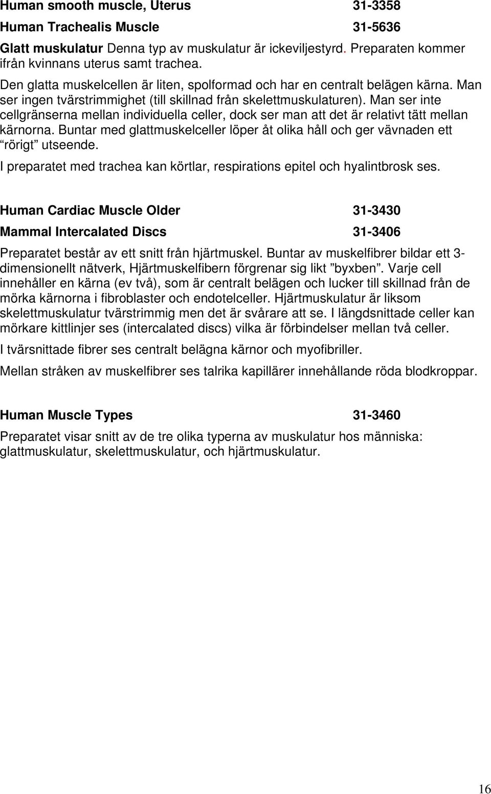 Man ser inte cellgränserna mellan individuella celler, dock ser man att det är relativt tätt mellan kärnorna. Buntar med glattmuskelceller löper åt olika håll och ger vävnaden ett rörigt utseende.