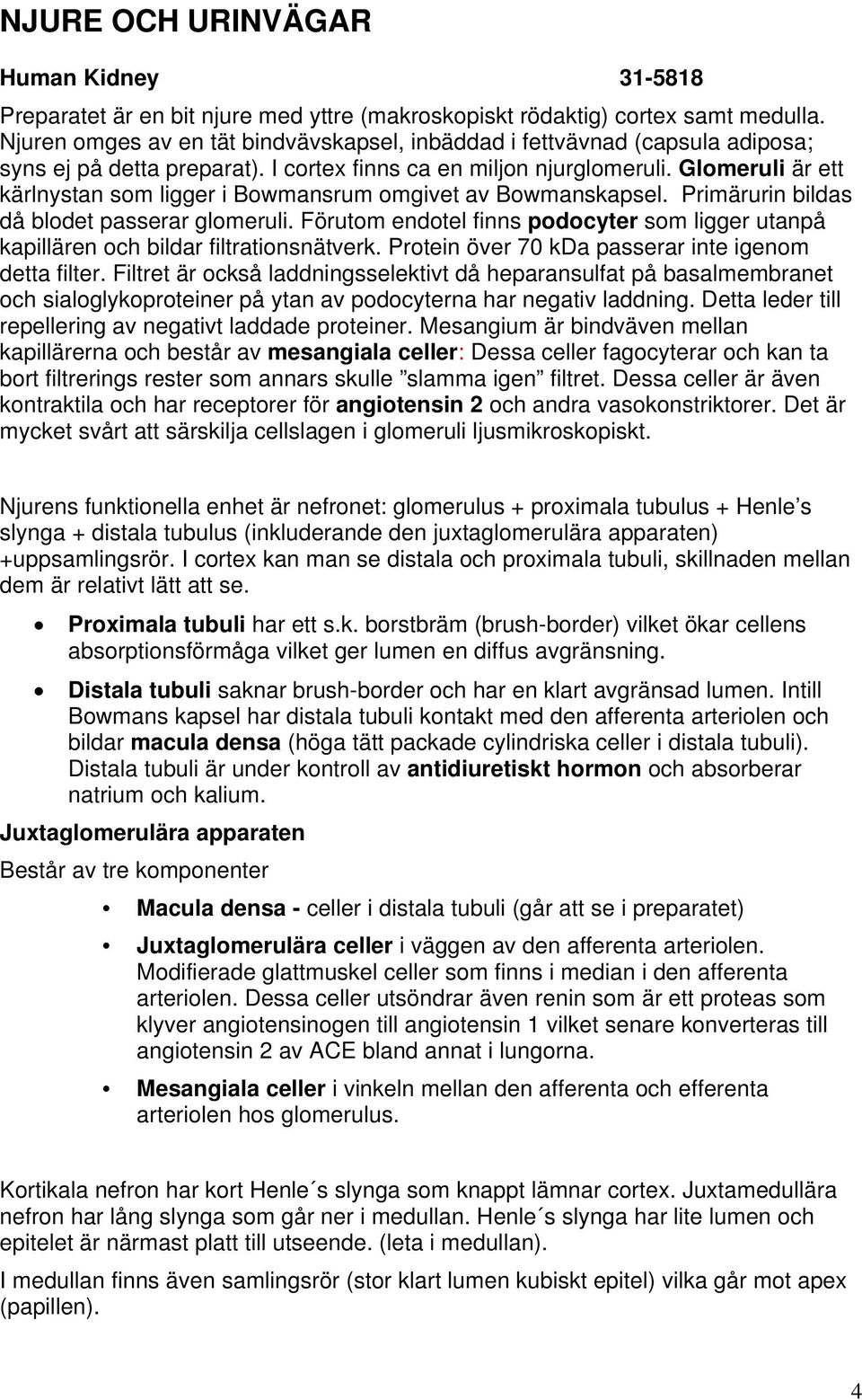 Glomeruli är ett kärlnystan som ligger i Bowmansrum omgivet av Bowmanskapsel. Primärurin bildas då blodet passerar glomeruli.