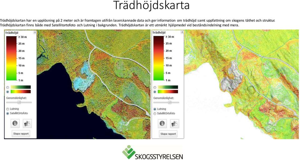 skogens täthet och struktur.