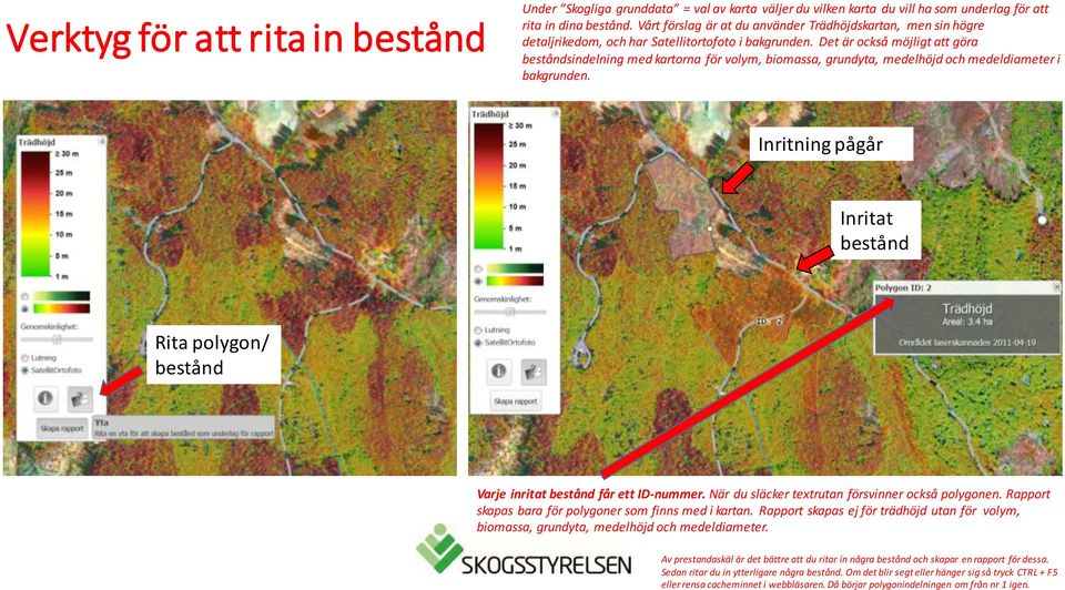 Det är också möjligt att göra beståndsindelning med kartorna för volym, biomassa, grundyta, medelhöjd och medeldiameter i bakgrunden.