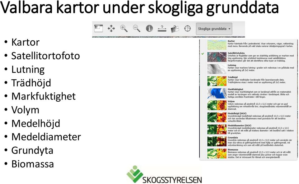 Lutning Trädhöjd Markfuktighet