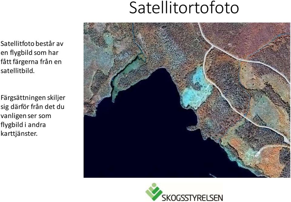 satellitbild.