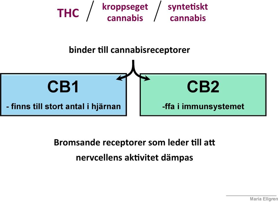 antal i hjärnan CB2 -ffa i immunsystemet Bromsande