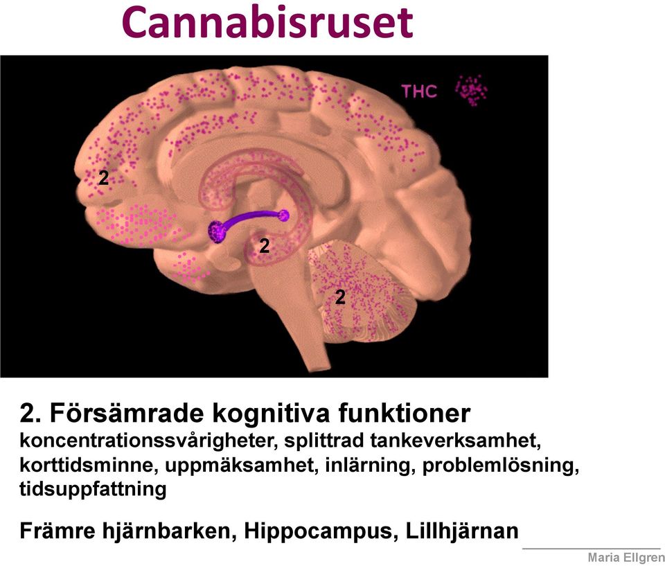 koncentrationssvårigheter, splittrad tankeverksamhet,