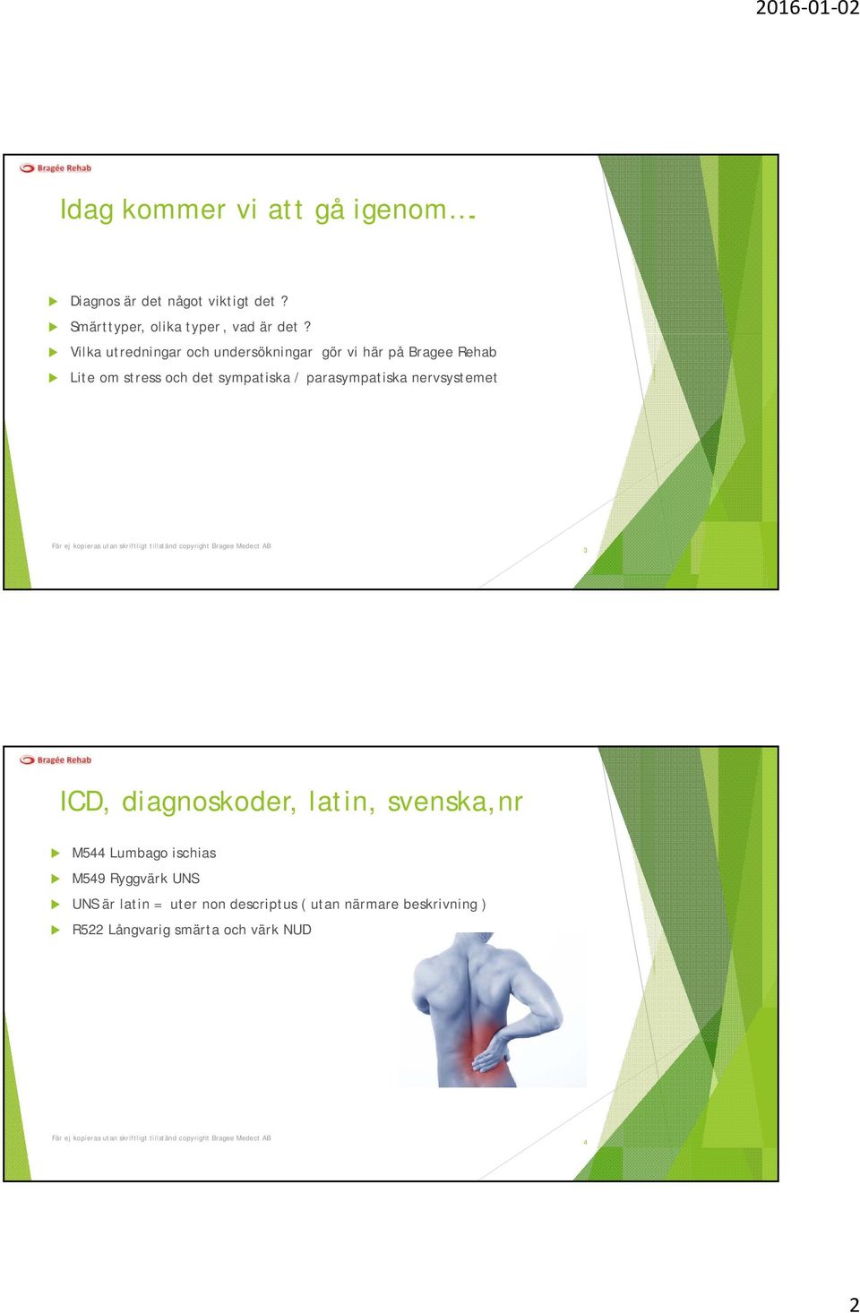 parasympatiska nervsystemet 3 ICD, diagnoskoder, latin, svenska,nr M544 Lumbago ischias M549 Ryggvärk